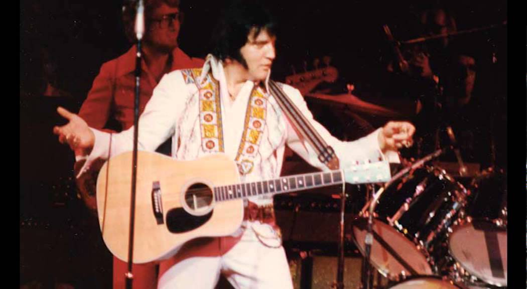 🍌 Four ways to celebrate Elvis Month