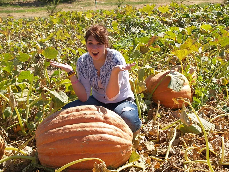 🎃 Retro soul | Infinite pumpkin | Clown maze | Turbo grannies | Hella sandwiches | Alien fest | Greek-a-palooza