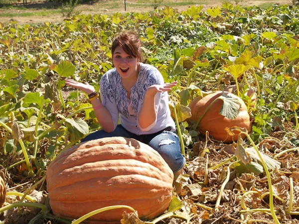 🎃 Retro soul | Infinite pumpkin | Clown maze | Turbo grannies | Hella sandwiches | Alien fest | Greek-a-palooza